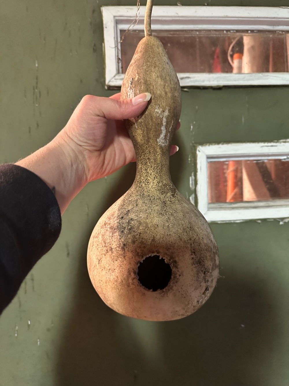 Natural Decorative Dried Gourd - birdhouse ..or whatever
